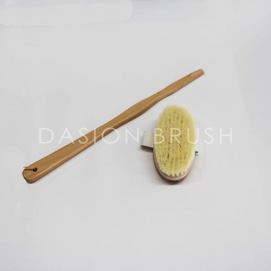 Nass- oder Trockenduschbürste mit langem Griff / Badebürste aus Silikonholz mit weichen und steifen Borsten 